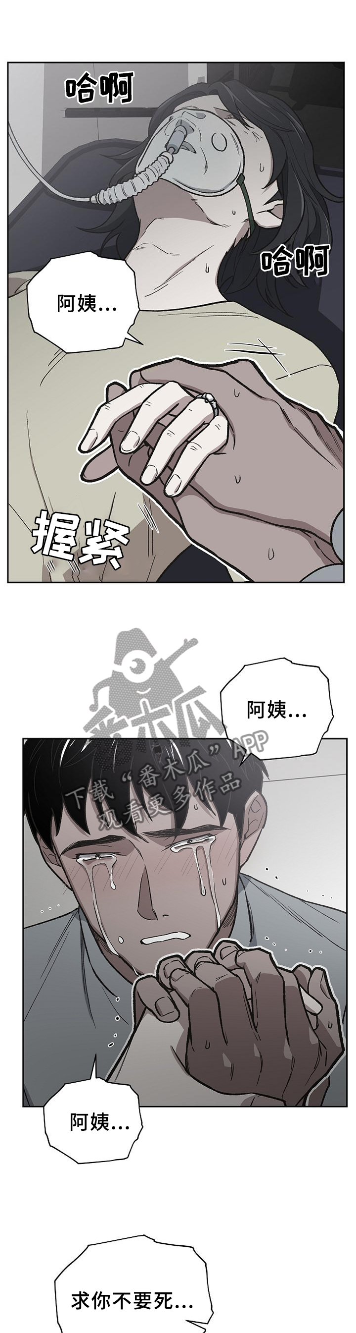 祖灵是什么漫画,第56章：亲弟弟1图