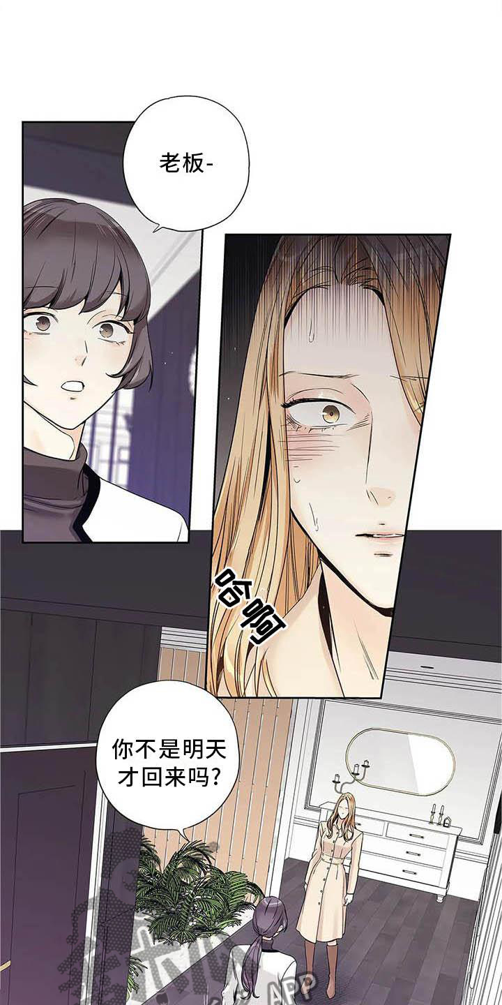 不枉此生华夏魂下一句漫画,第37章：待在我身边4图