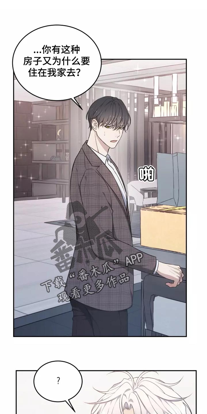 梦中女孩漫画,第45章：以后该怎么办1图