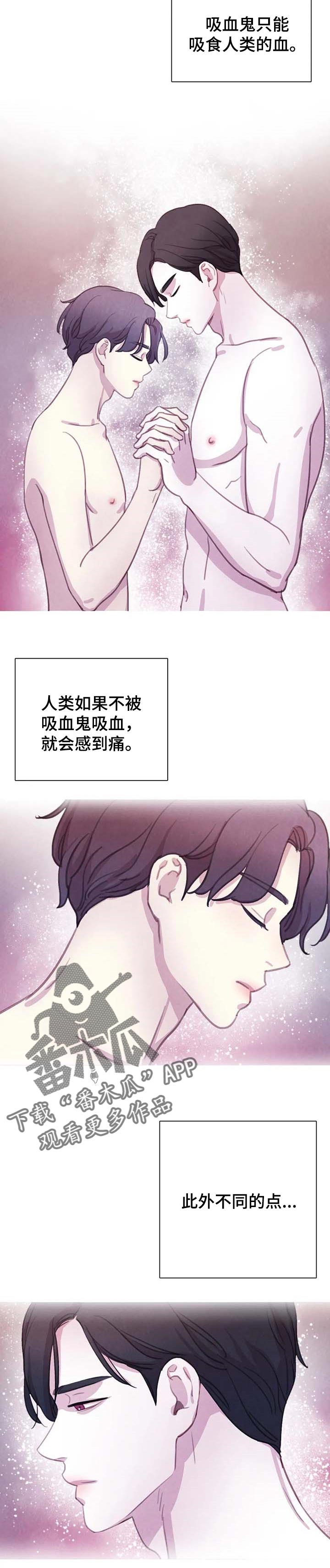 与血族共生漫画在哪儿看漫画,第127章：【番外】你的问题更严重5图