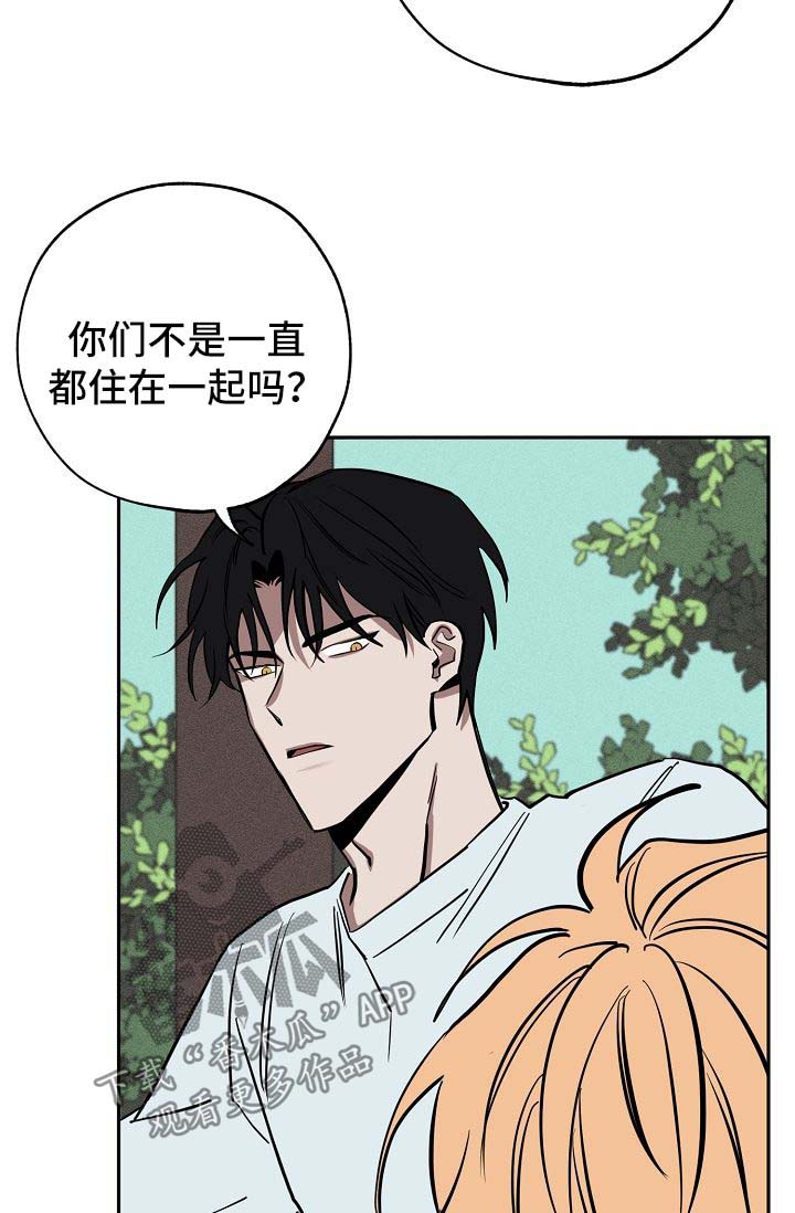 记忆归零漫画,第20章：落单3图