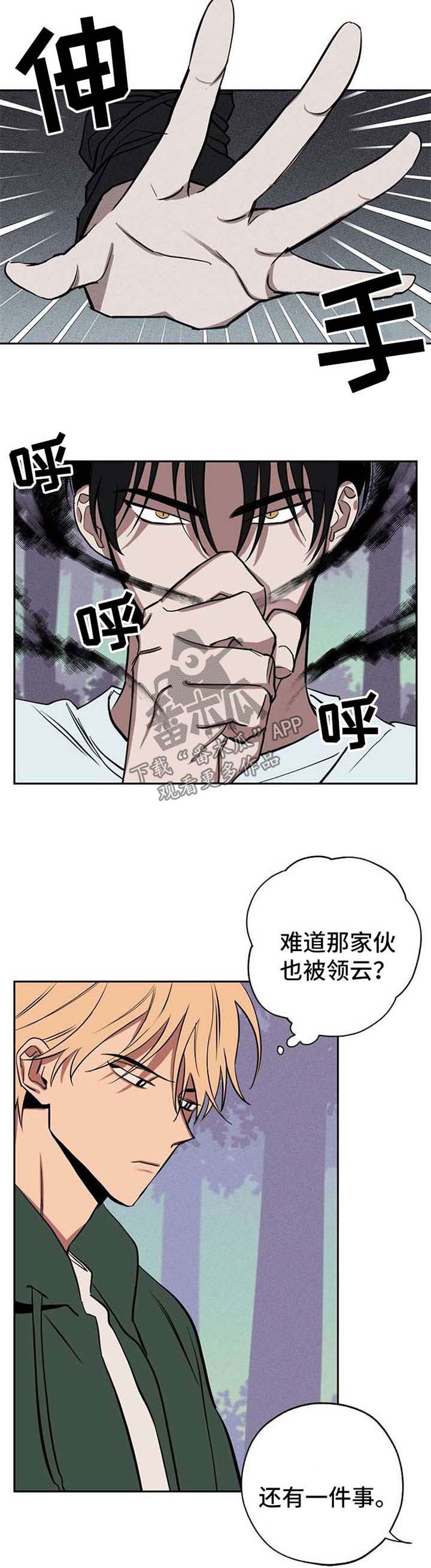 记忆轨迹明月听风在线阅读漫画,第22章：作战方案5图