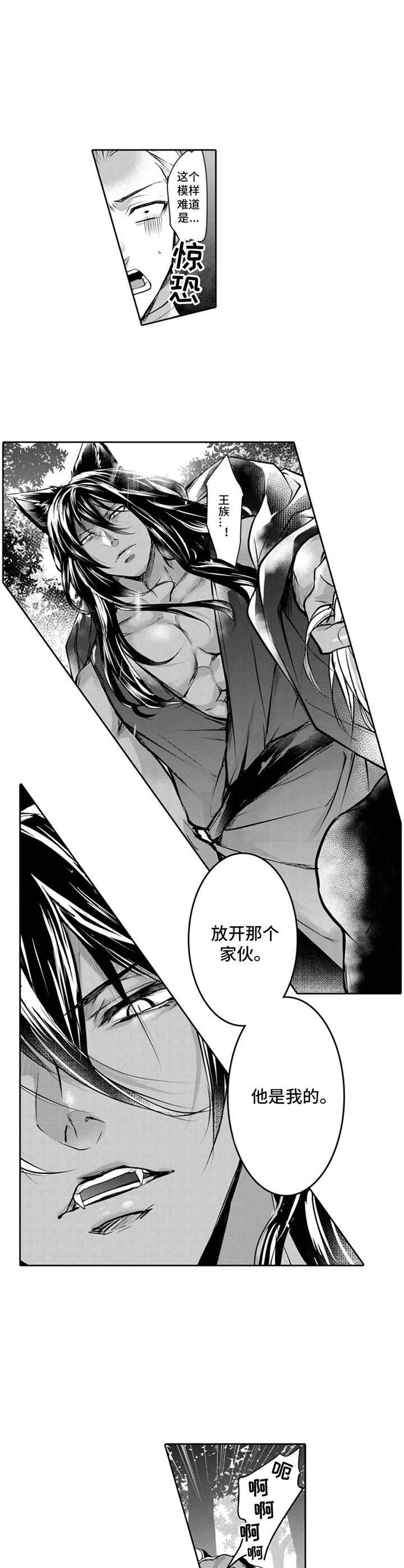 被兽化小说漫画,第3章：命中伴侣2图