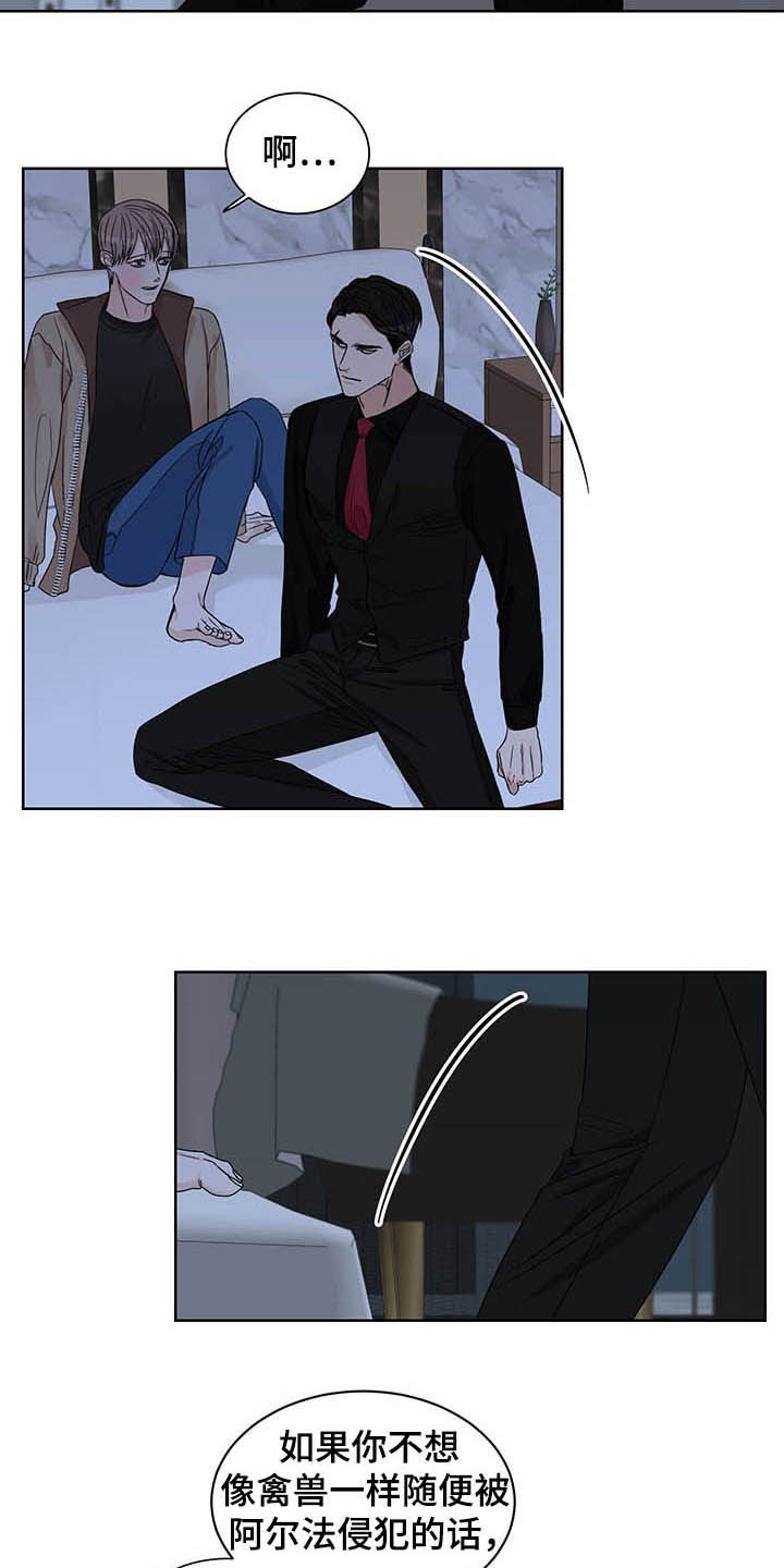 终点线彩条漫画,第23章：信息素5图
