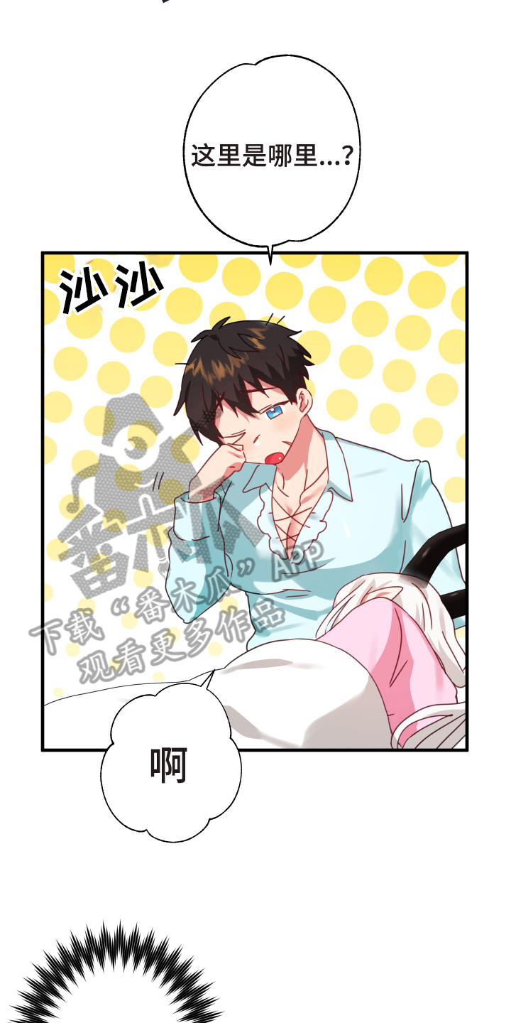 粘糕聚会画涯漫画免费漫画,第52章：从胸口开始的骑士精神：抽象画5图