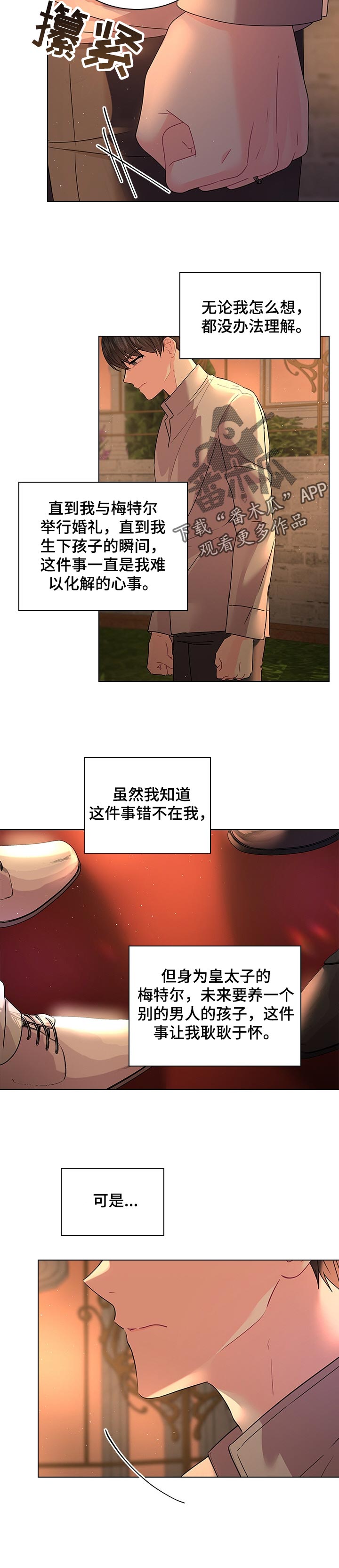 胡姓是皇室血脉吗漫画,第92章：无法理解3图