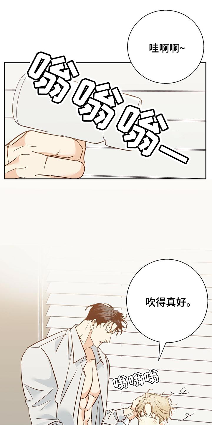 危险便利店实体漫画,第164章：【第三季】唯一的安慰1图