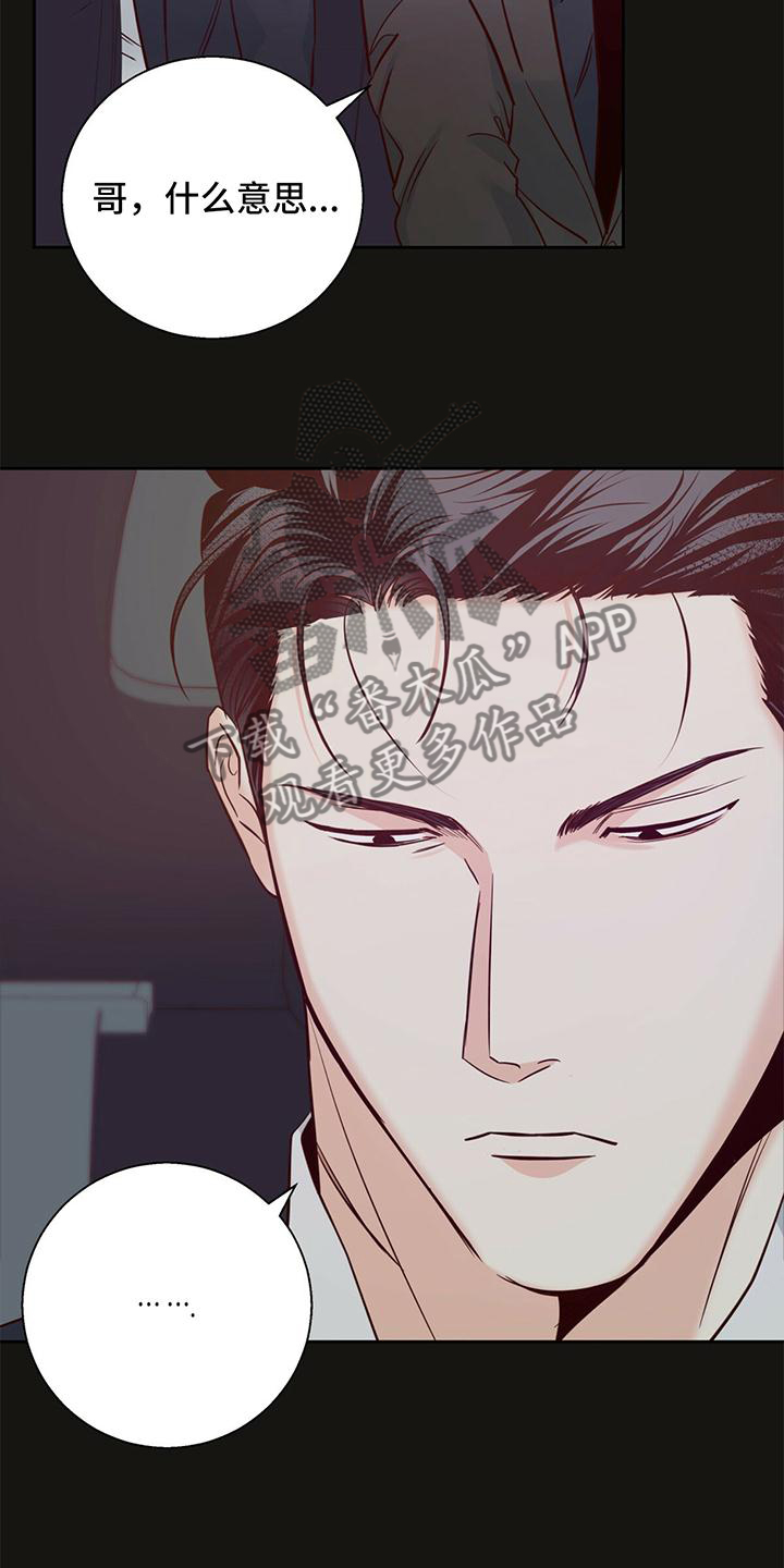 危险便利店在线阅读漫画,第139章：【第三季】放过4图