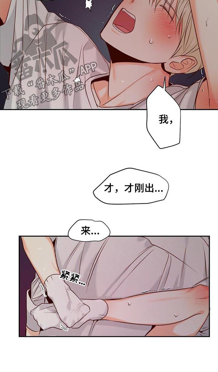危险便利店免费阅读漫画,第43章：放你走4图