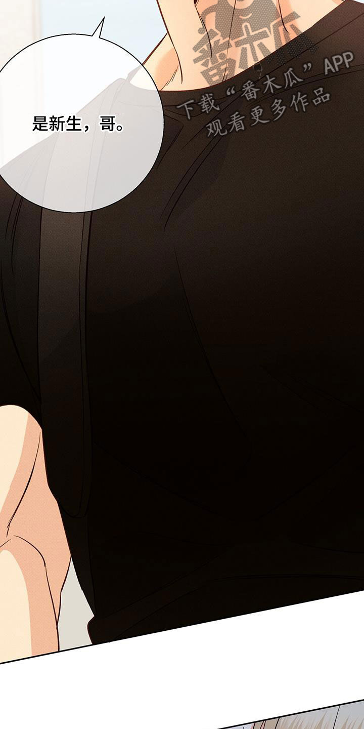 危险便利店实体漫画,第186章：【番外】梦境4图