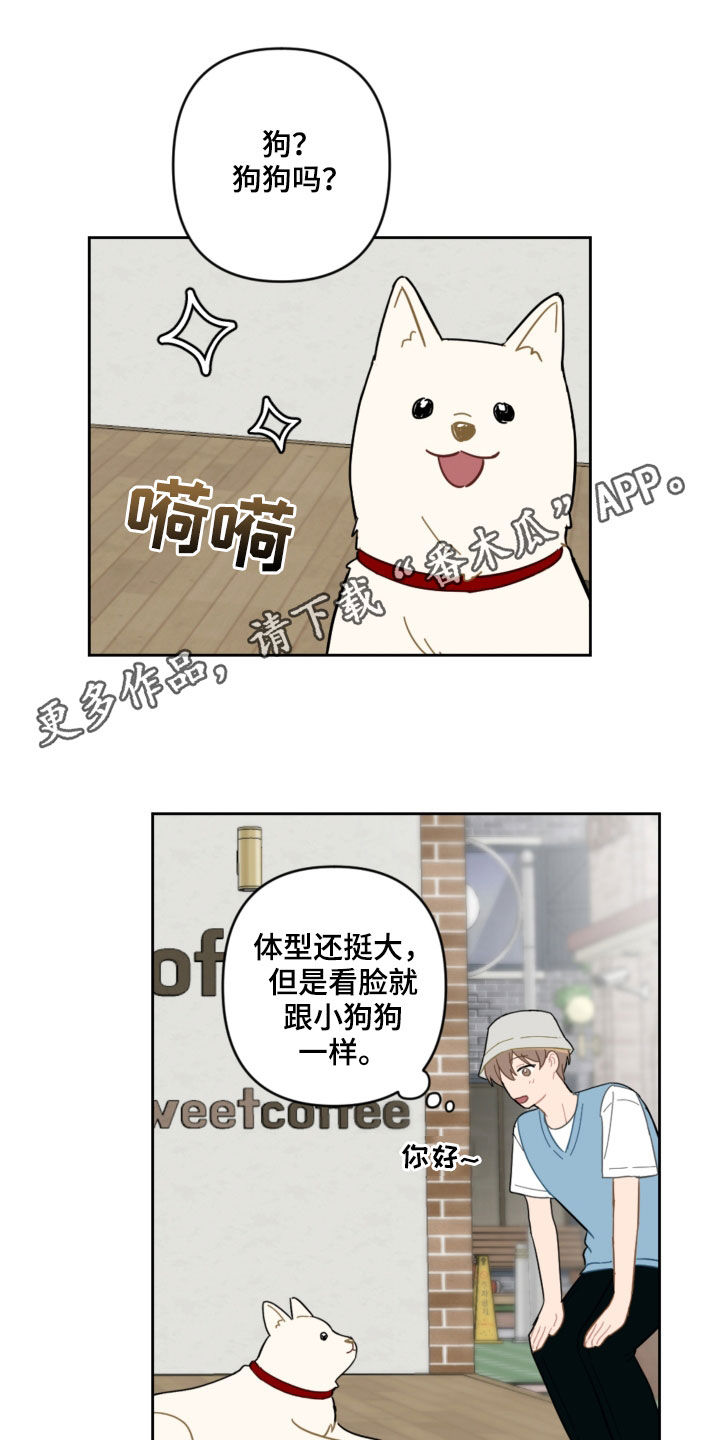 恋爱攻略套路日语漫画,第104章：名字1图