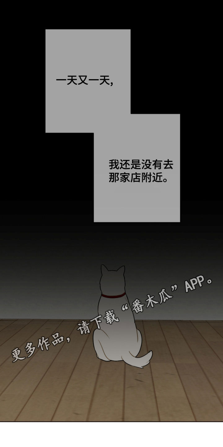 恋爱攻略电子文档漫画,第116章：台风1图