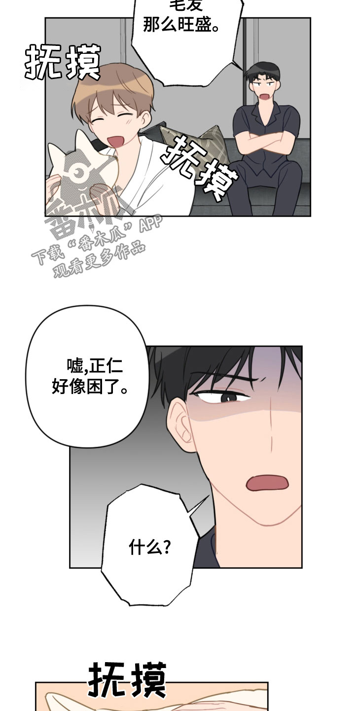 恋爱攻略破解下载漫画,第119章：同眠5图