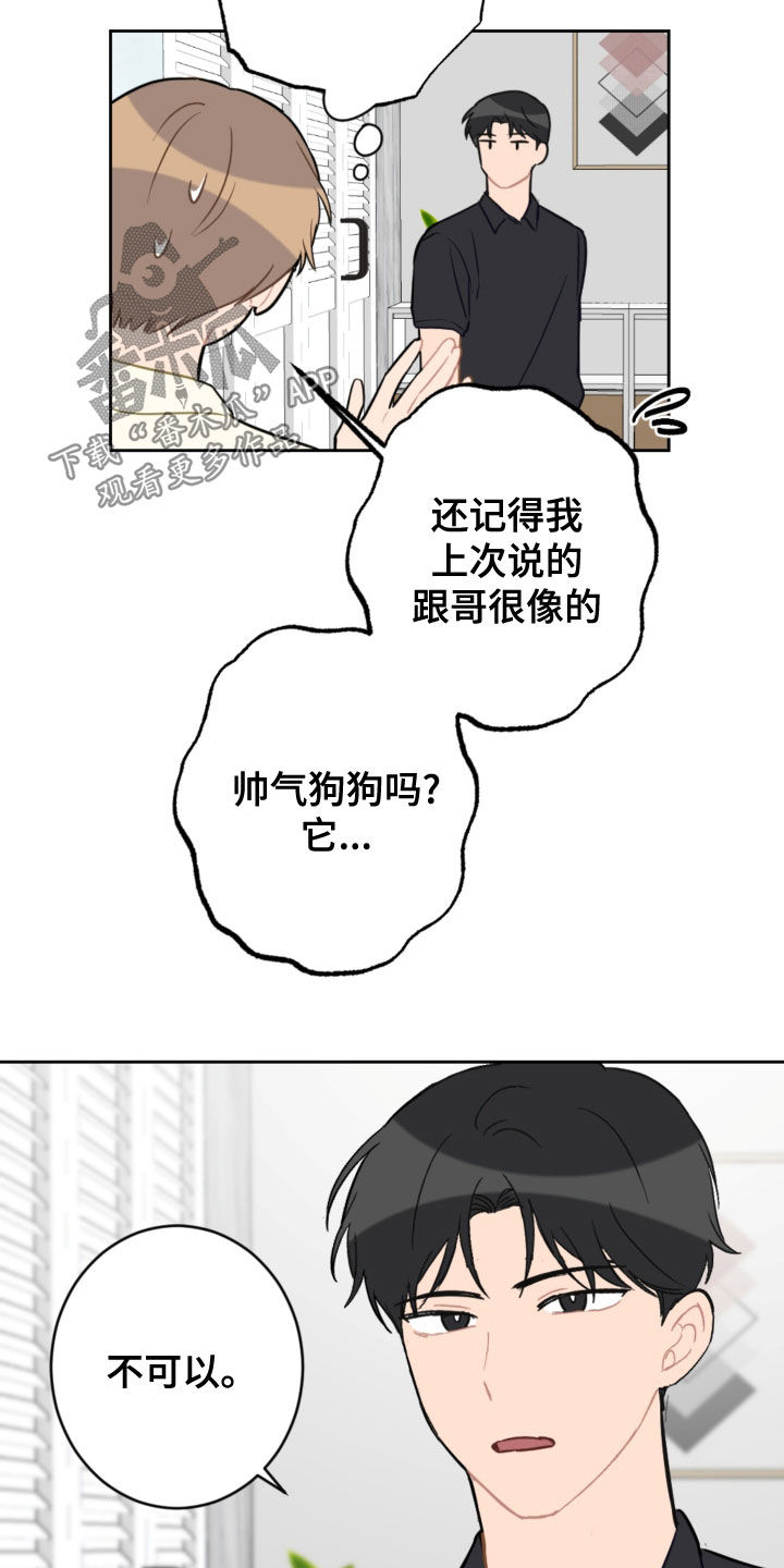 恋爱攻略破解下载漫画,第113章：终极武器3图
