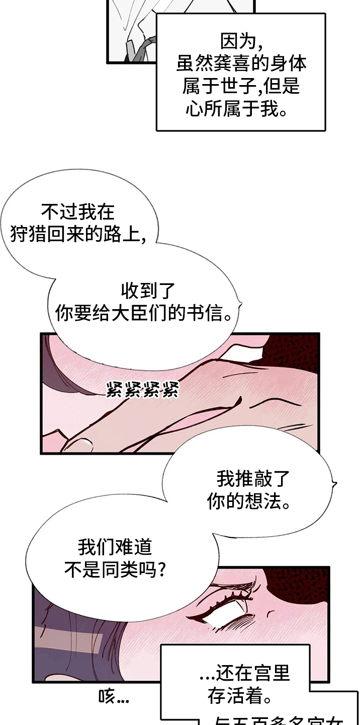 宫廷暗杀漫画,第64章：迷宫2图