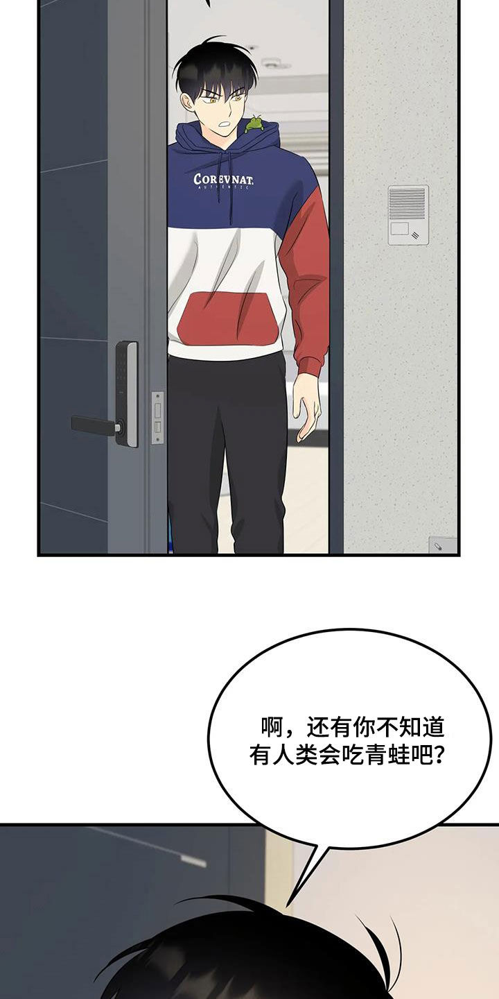 神仙配色板鞋男漫画,第26章：帽子里有青蛙2图