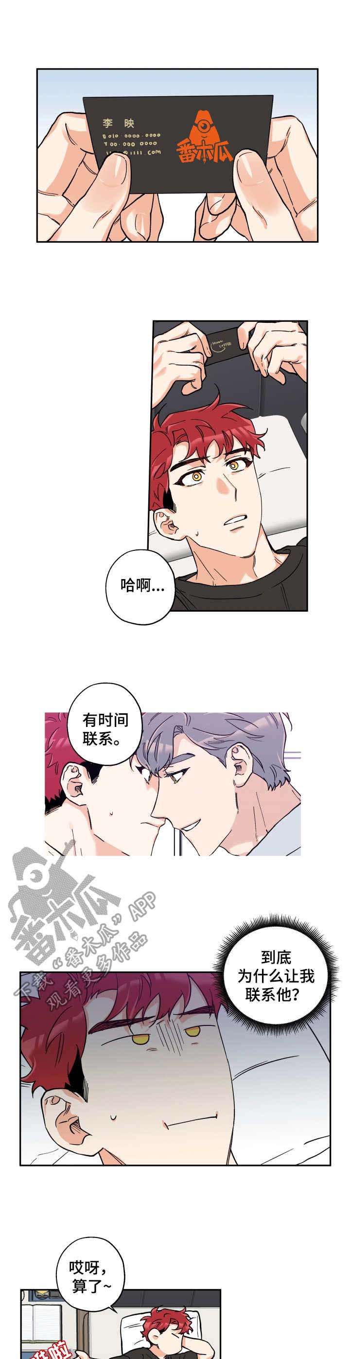 赤狼之狼雷霆战机图片大全漫画,第22章：名片5图