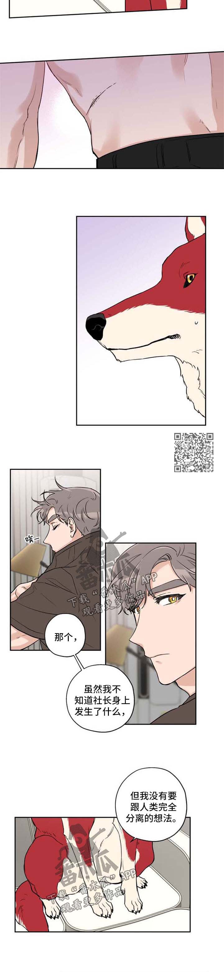 赤狼之狼雷霆战机图片大全漫画,第35章：不想分开3图