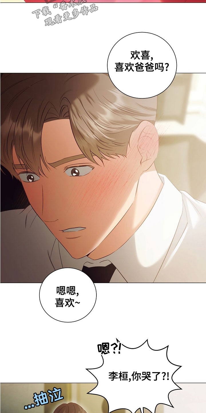 完美契合txt百度云下载漫画,第82章：婚礼3图