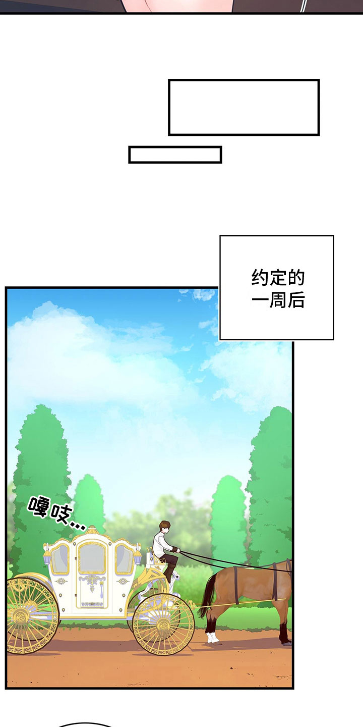异界攻略系统漫画免费看全集漫画,第19章：学习4图