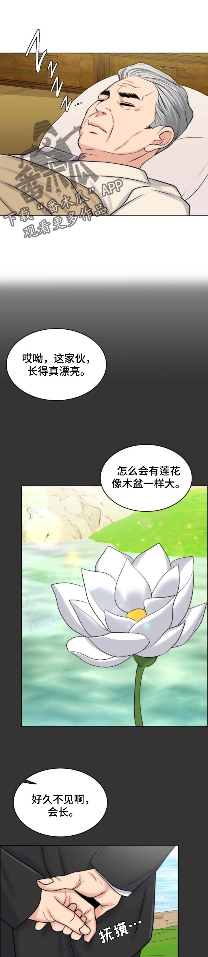 限时婚姻推文漫画,第74章：出淤泥而不染1图