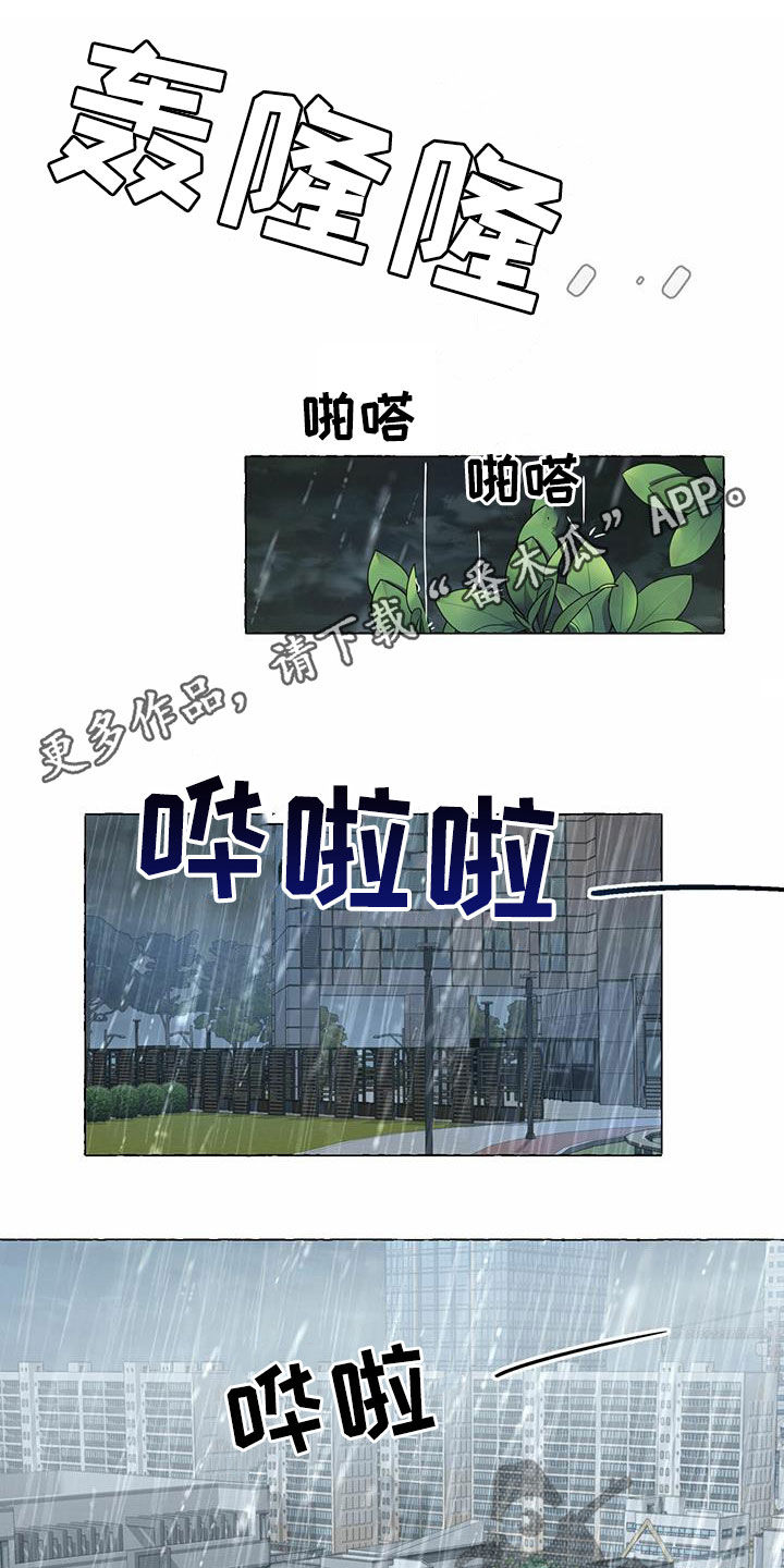 香草搭档漫画免费非麻瓜漫画,第72章：真正的爱1图