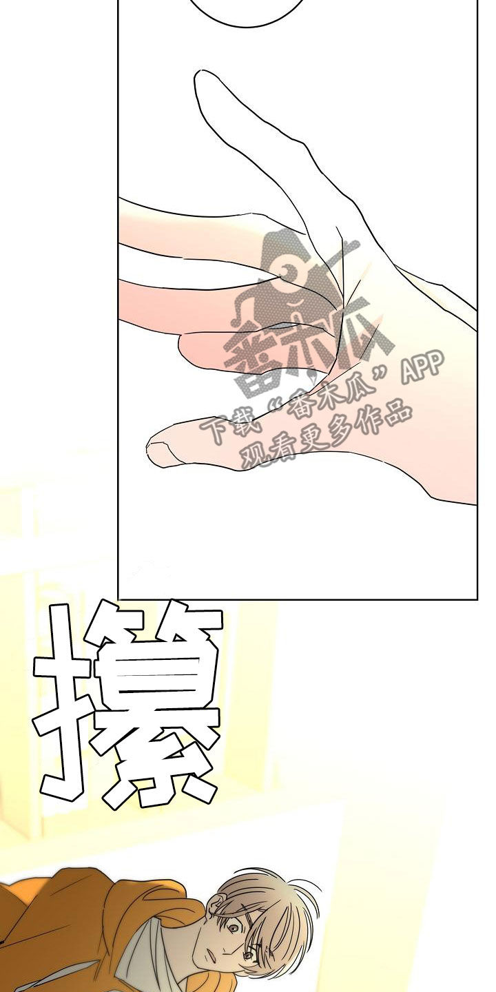 贝塔的追剧日记漫画,第40章：私生子5图