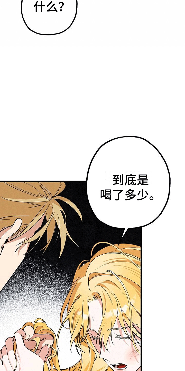 城堡里有什么仿写句子漫画,第20章：哥哥逃跑4图