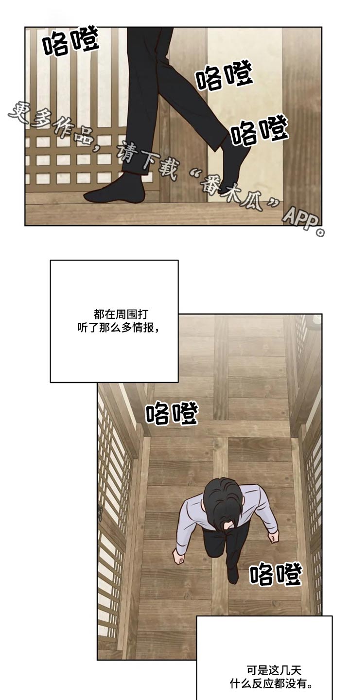 龟兔赛跑英文版漫画,第24章：祭祀1图