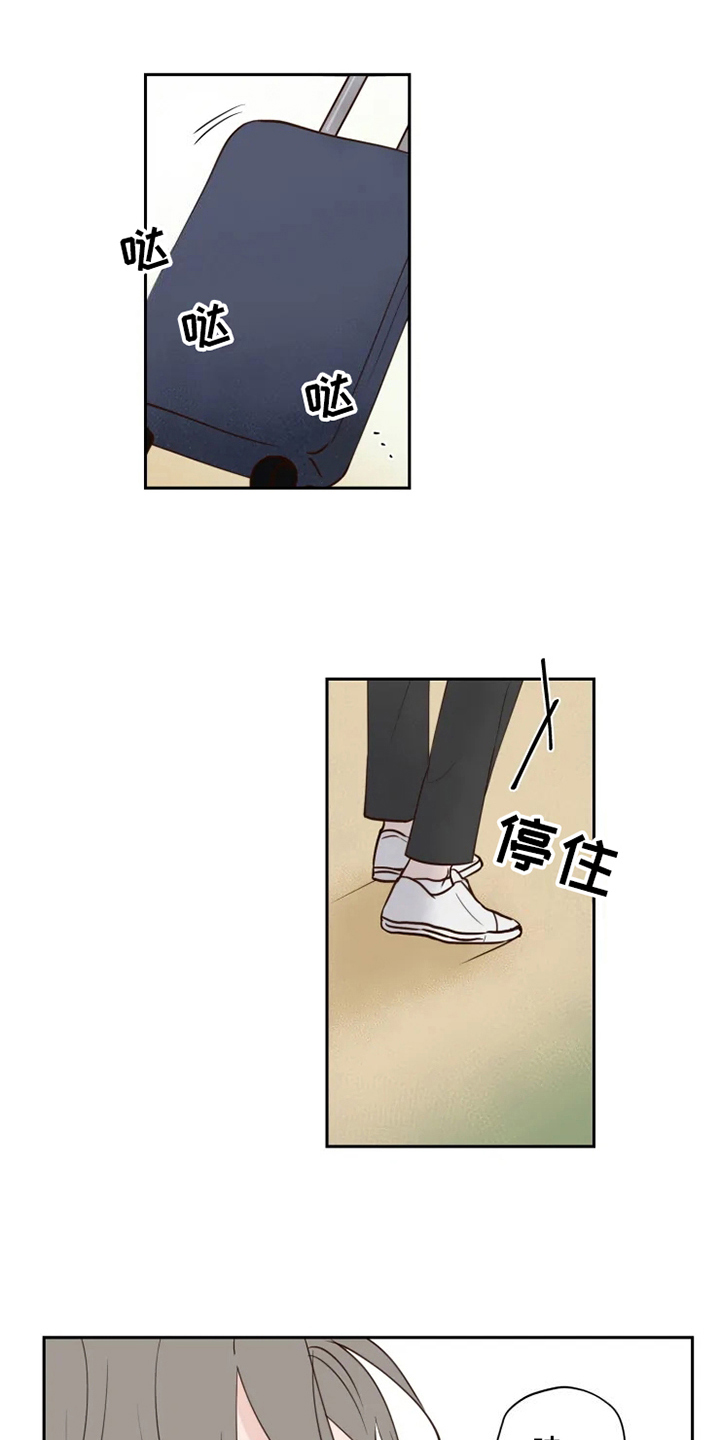龟兔赛跑的读后感漫画,第2章：到达1图