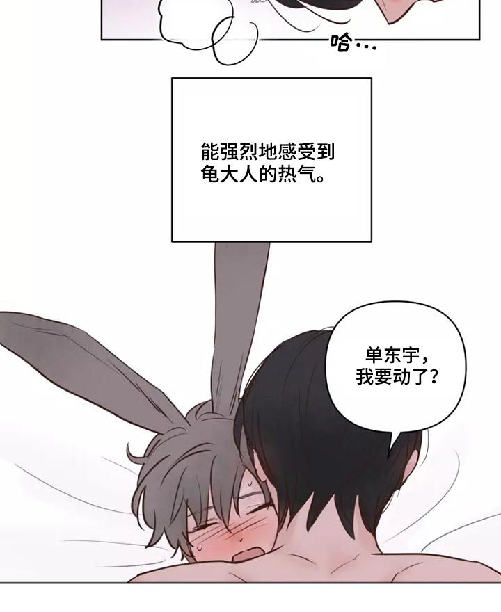 龟兔赛跑儿歌漫画,第43章：耳朵3图