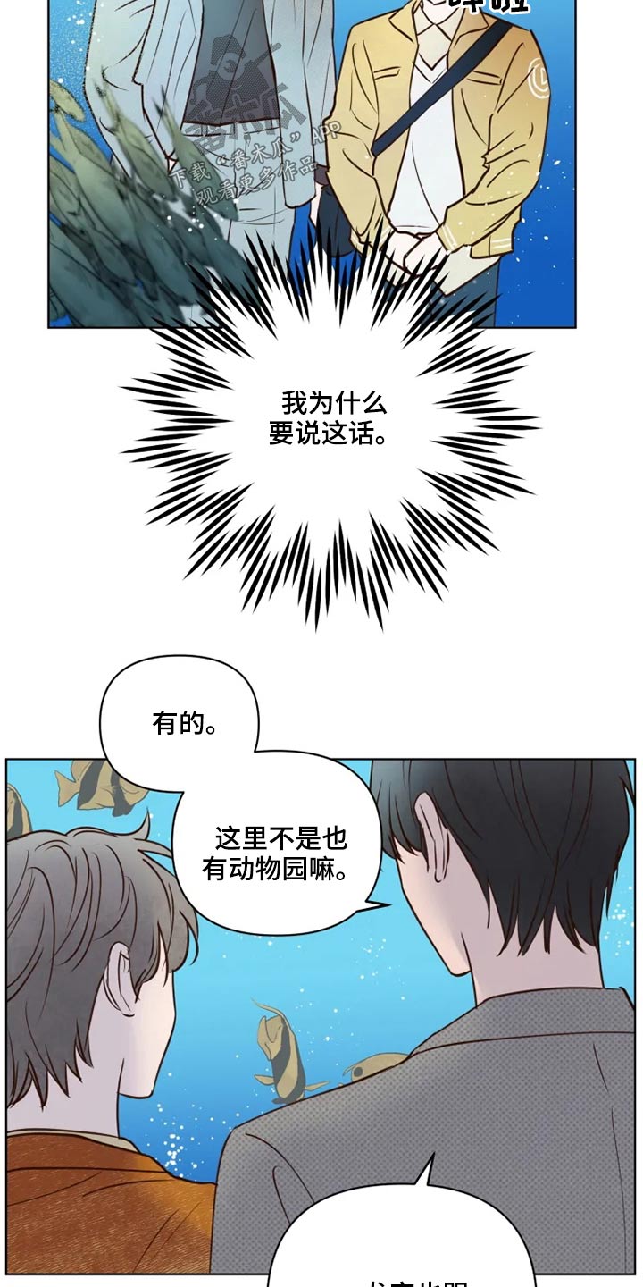 龟兔赛跑绘本漫画,第27章：公园4图