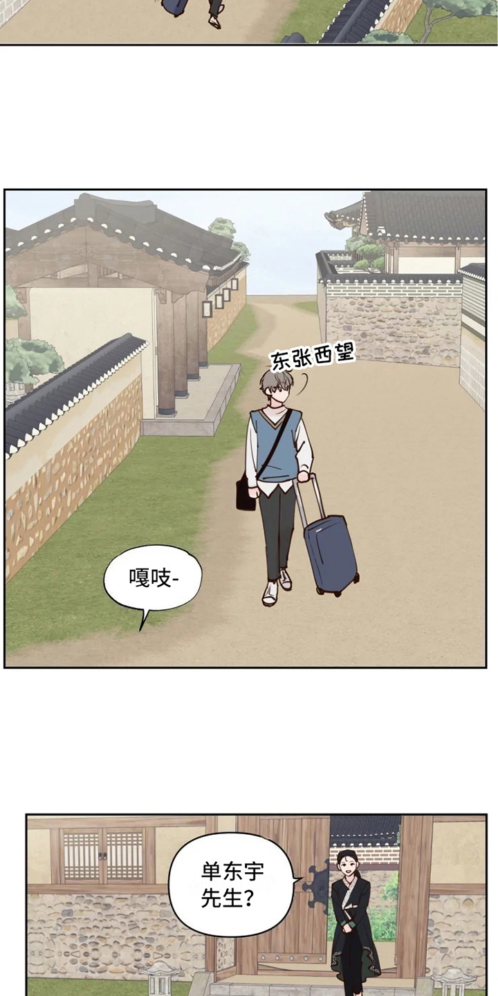 龟兔赛跑的读后感漫画,第2章：到达3图