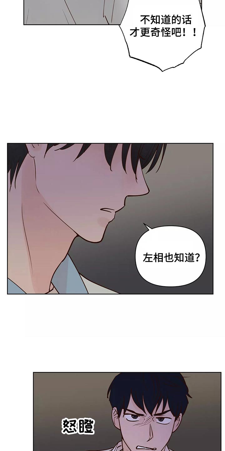 龟兔携手图漫画,第66章：协约书4图