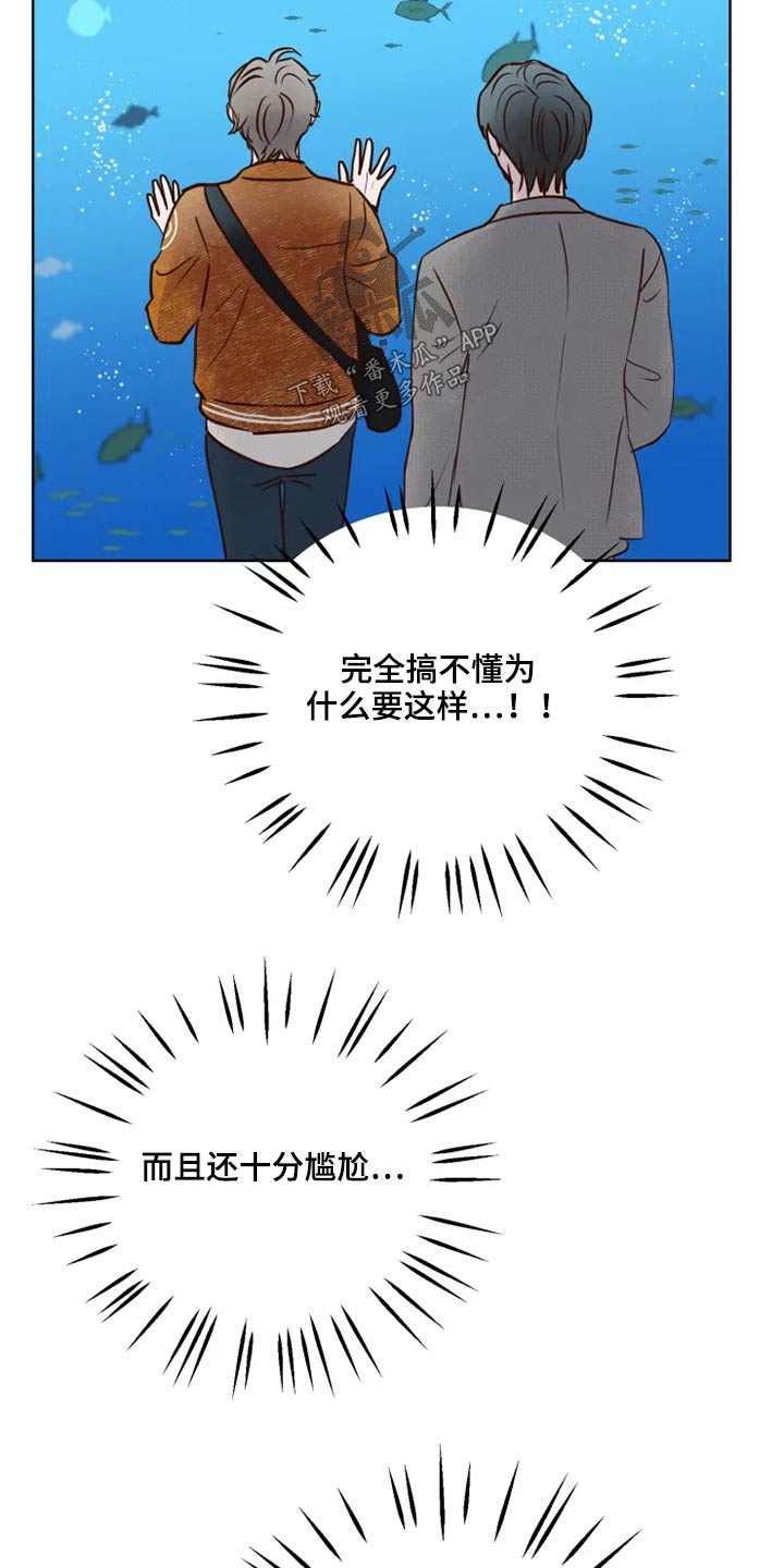 龟兔赛跑绘本漫画,第27章：公园2图