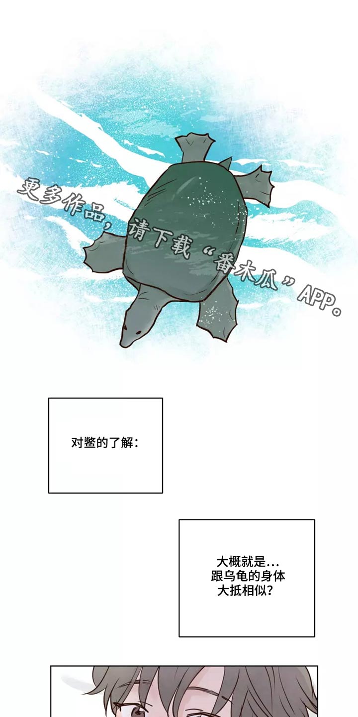 龟兔相争漫画,第52章：快说1图