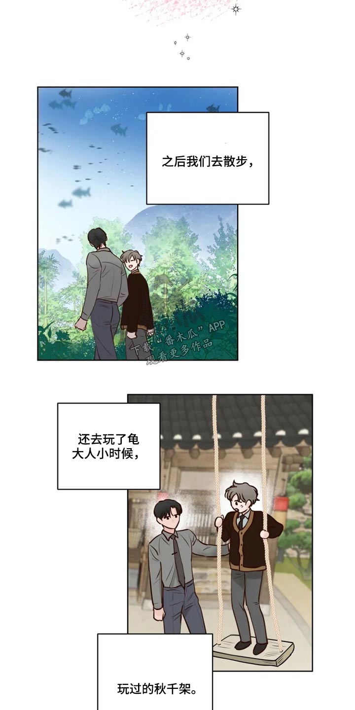 龟兔携手图漫画,第38章：大哥3图