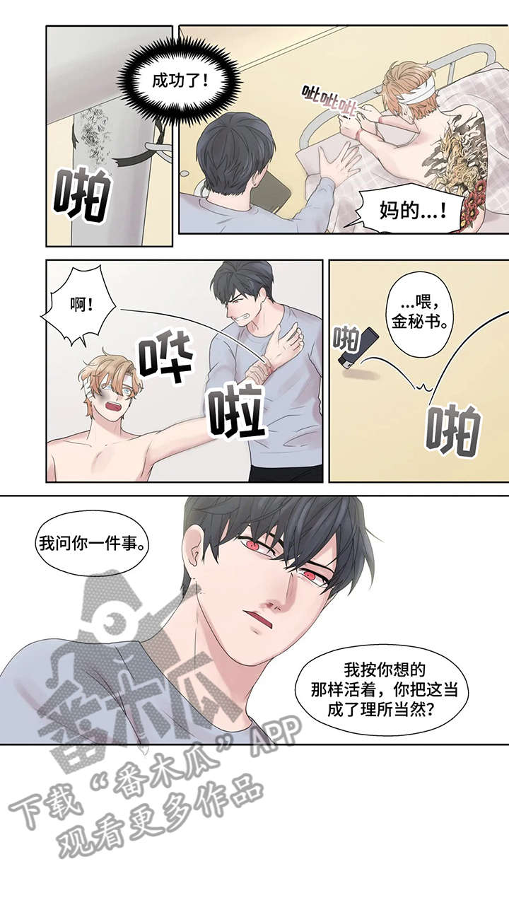 月光下的凤尾竹原唱漫画,第51章：他不在1图