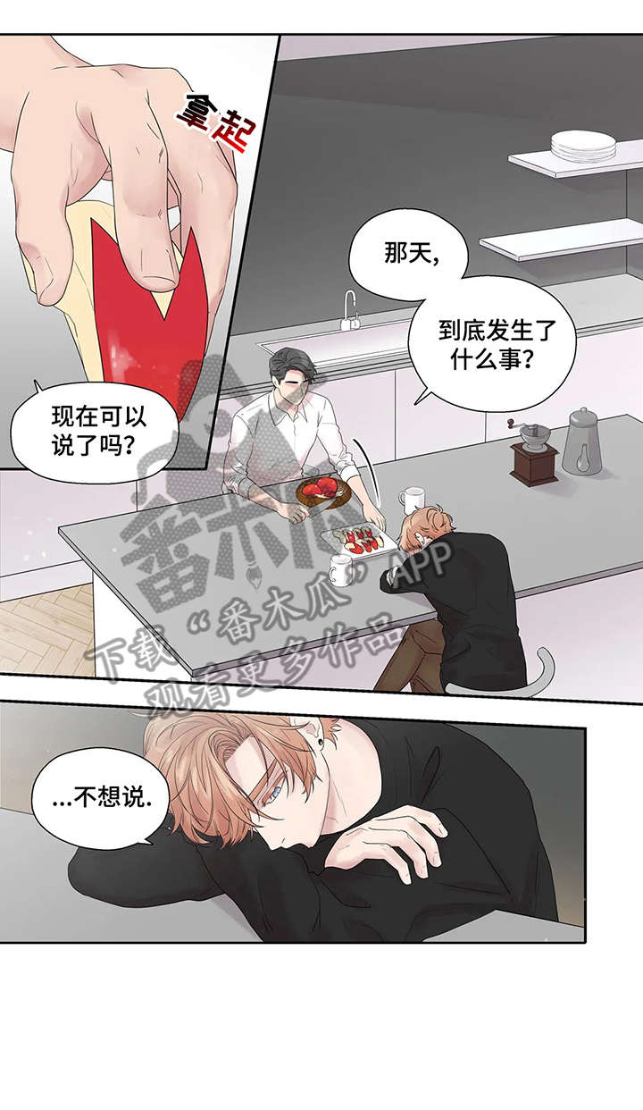 月光下的凤尾竹音乐漫画,第39章：独一无二5图