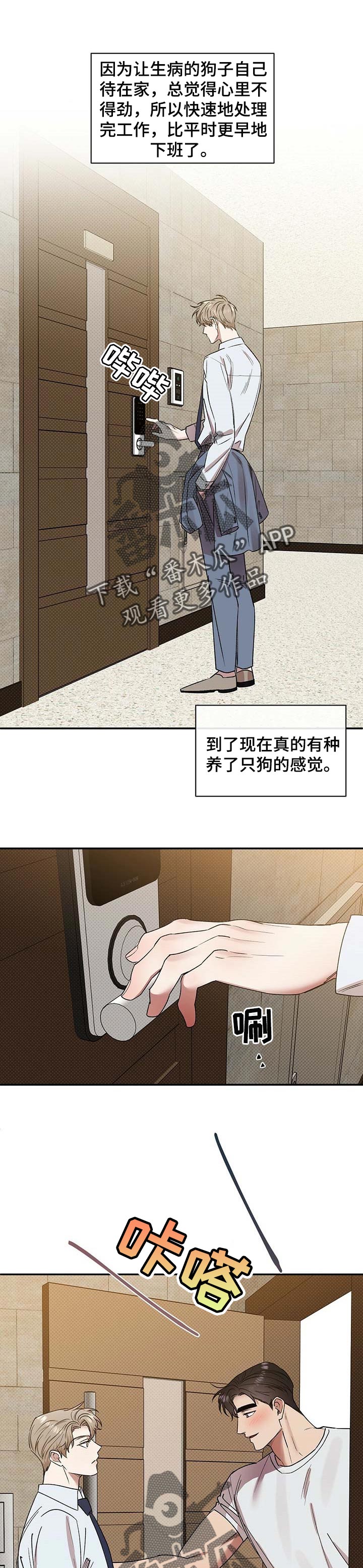 逆改虐文漫画,第49章：照顾1图