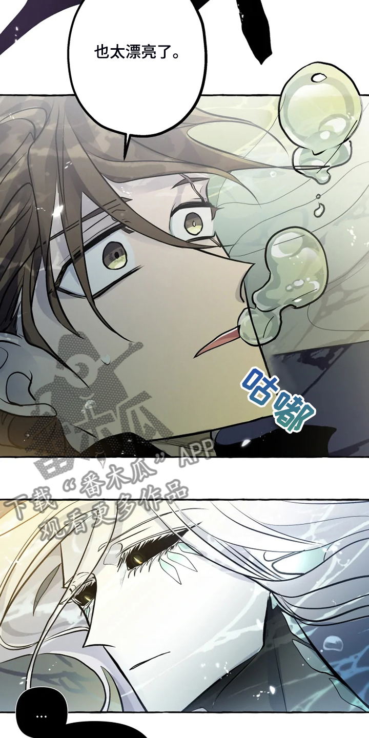 神见txt电子书下载漫画,第40章：生命的敬畏3图