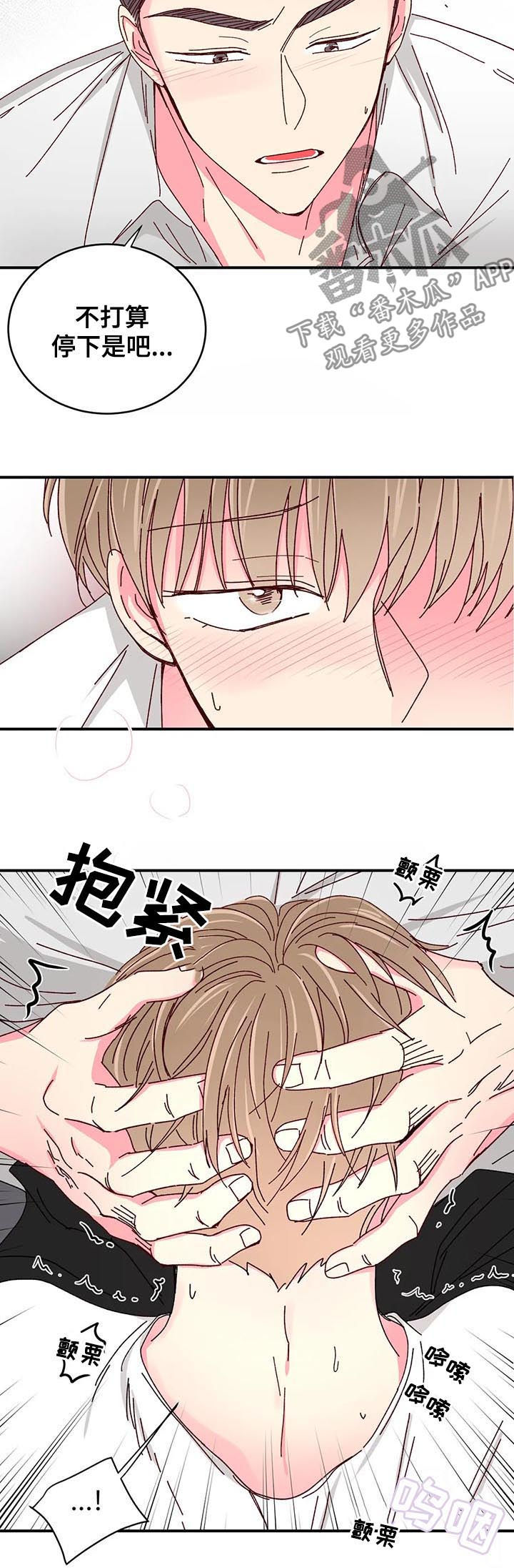奶油蛋糕是动物奶油好还是植物奶油好漫画,第44章：更好吃的4图