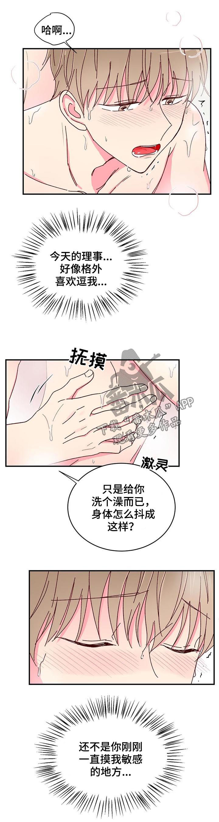 奶油蛋糕是动物奶油好还是植物奶油好漫画,第32章：有何不可3图