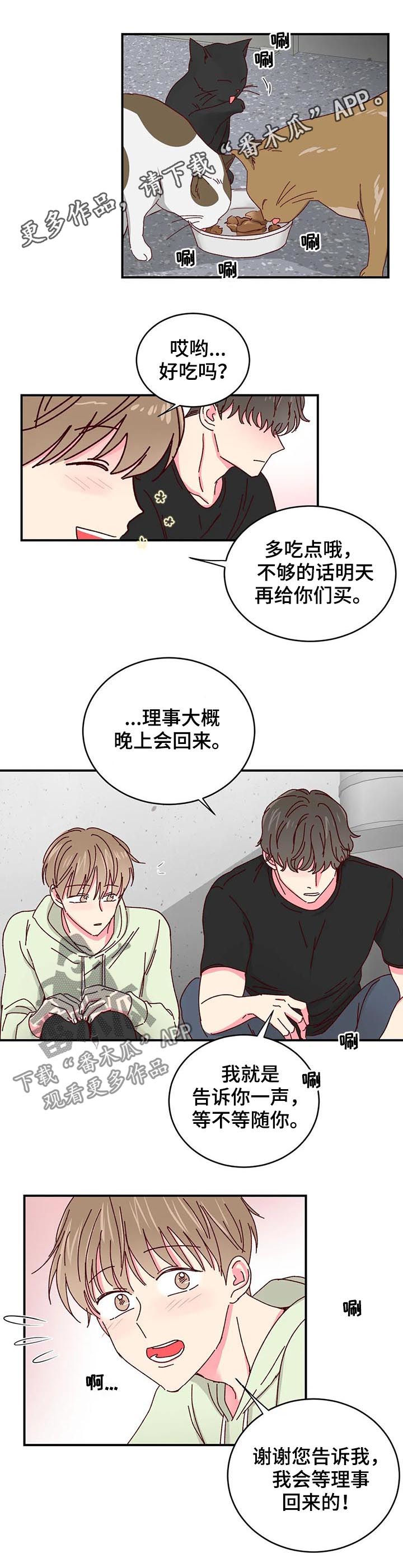 奶油蛋糕电影漫画,第41章：做您喜欢的事情1图