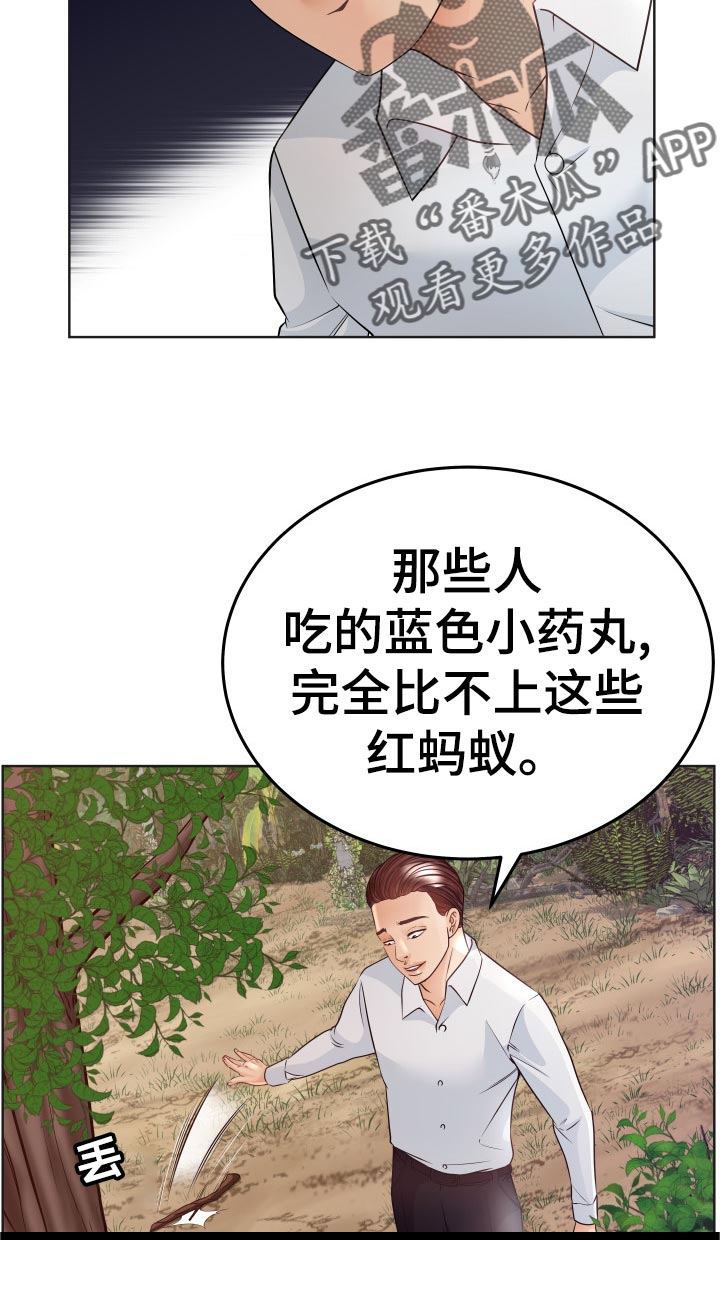 高丽酒的作用与功效漫画,第71章：红蚂蚁2图