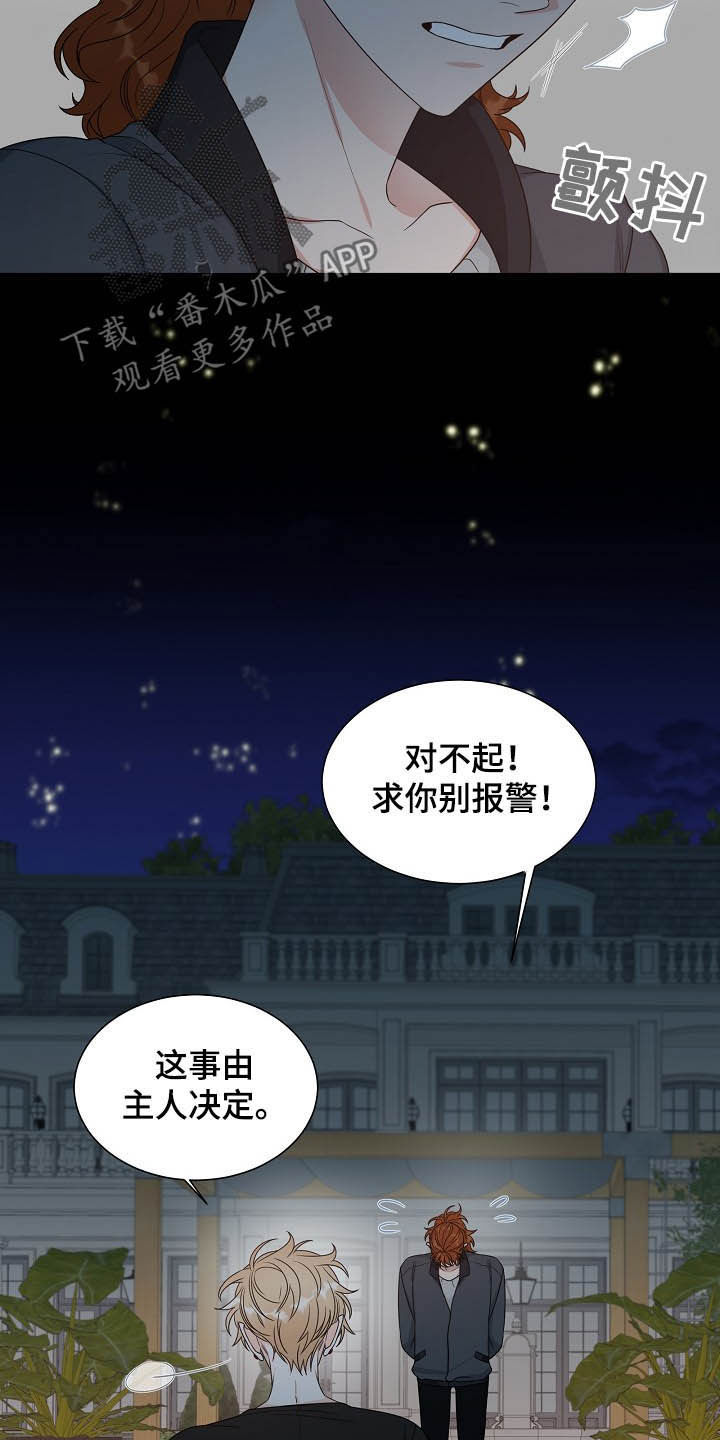 傲娇小妹漫画,第15章：找相机2图