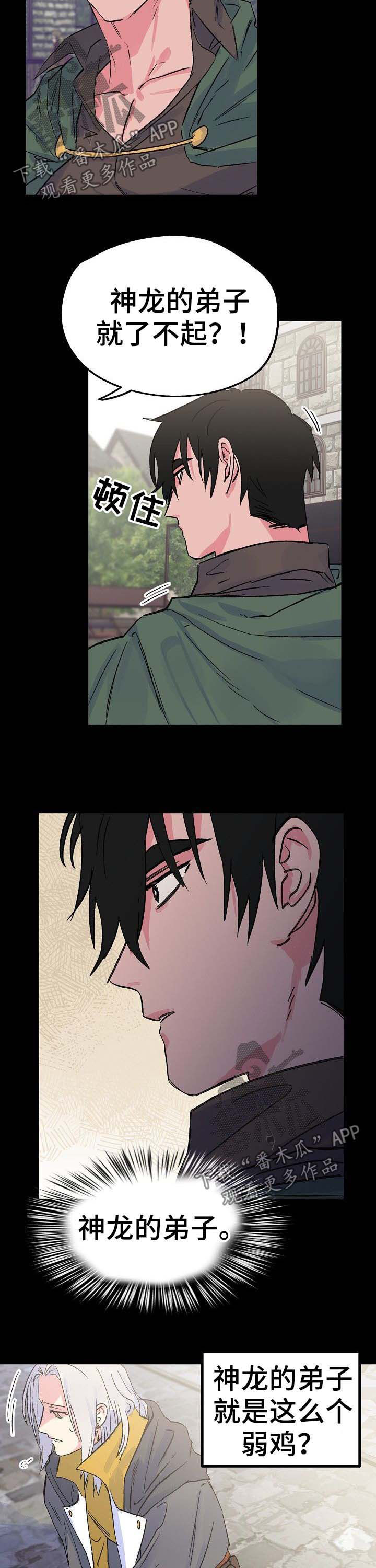 双重机制预防机制建设工作方案漫画,第36章：神龙的弟子4图