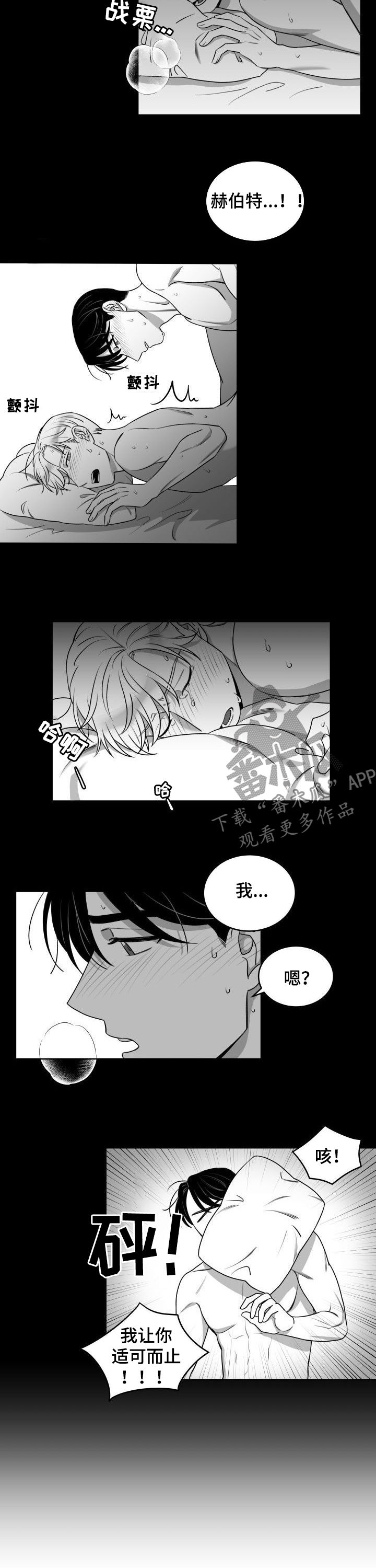 迫不得已的闪婚漫画,第50章：同居2图