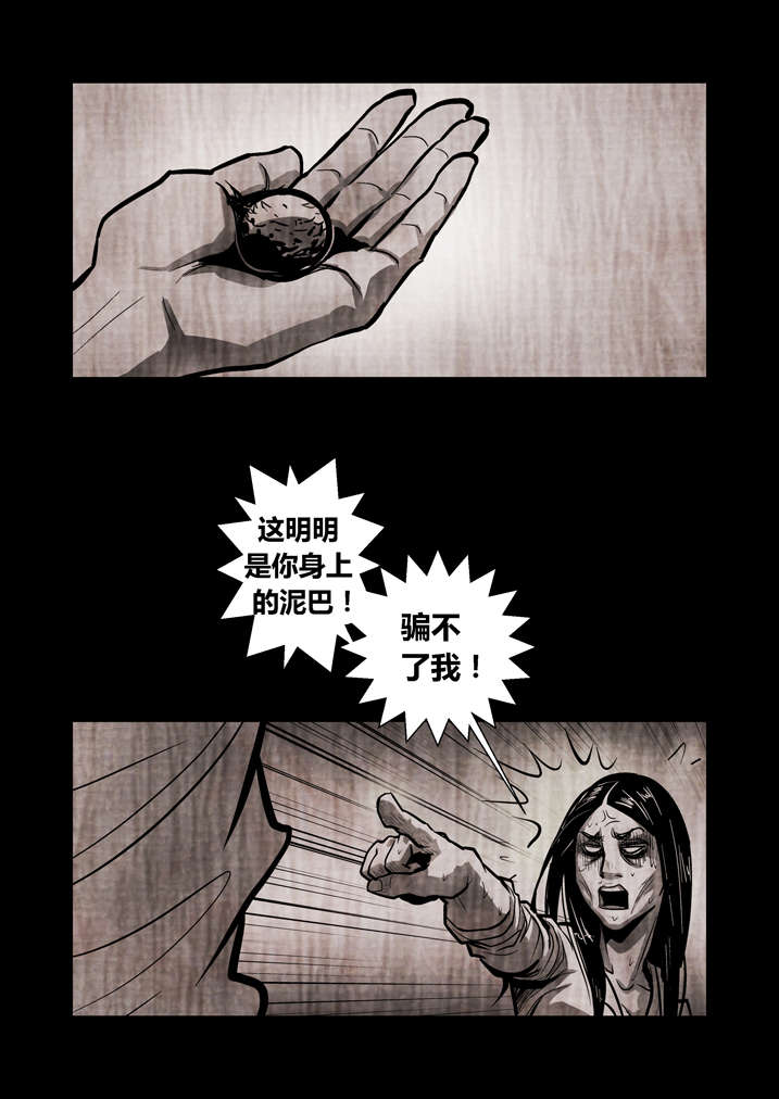 魂兽小说漫画,第16章：替身符2图