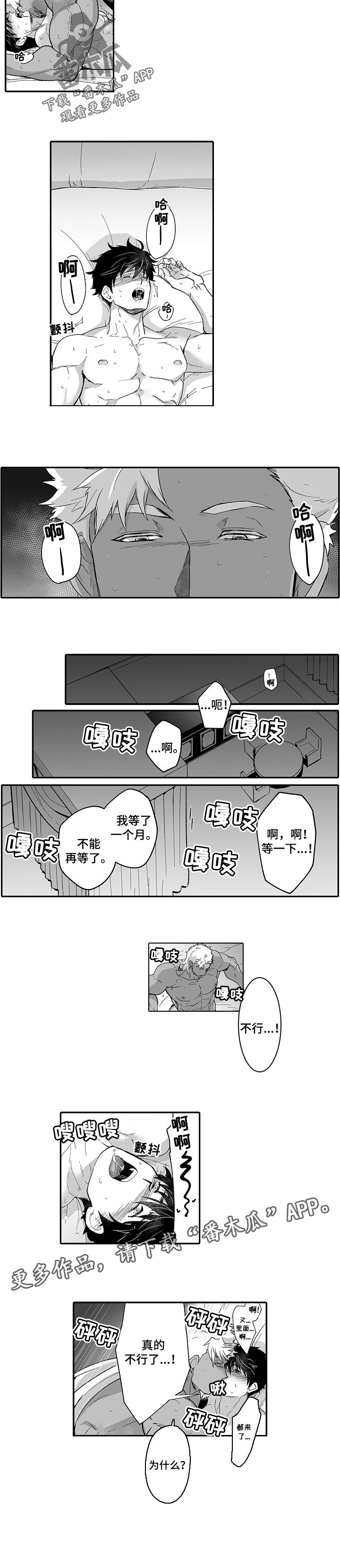 巨型新娘漫画免费观看漫画,第52章：不能再等了5图